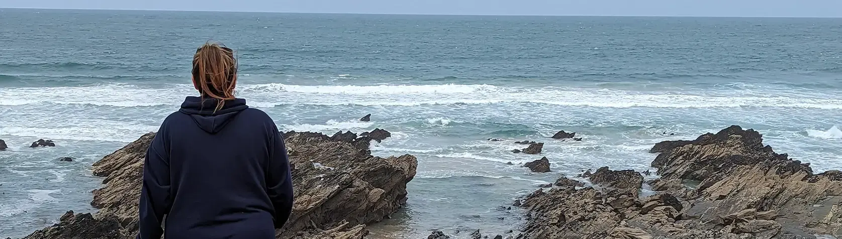 beach landscape image
